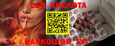 прущие грибы Балаково